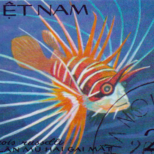 Sinh vật biển Việt Nam